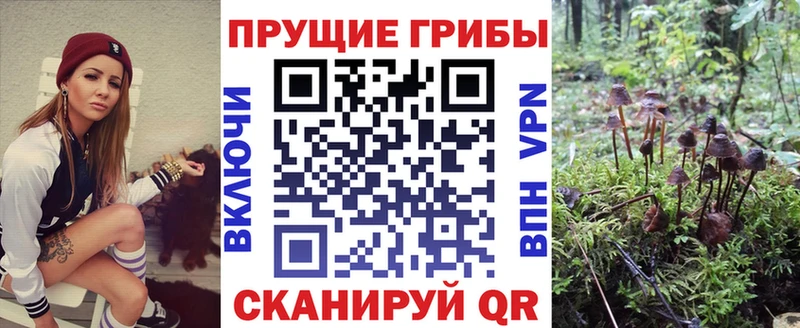 гидра вход  Мглин  Галлюциногенные грибы MAGIC MUSHROOMS 