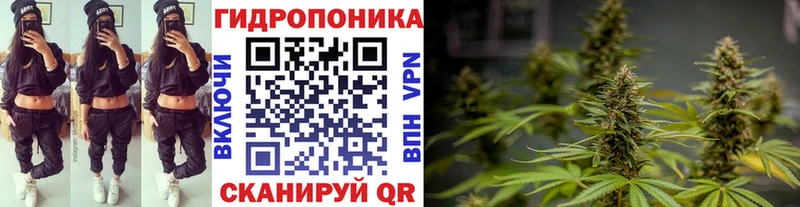 Бошки Шишки ГИДРОПОН  ссылка на мегу ТОР  Мглин 